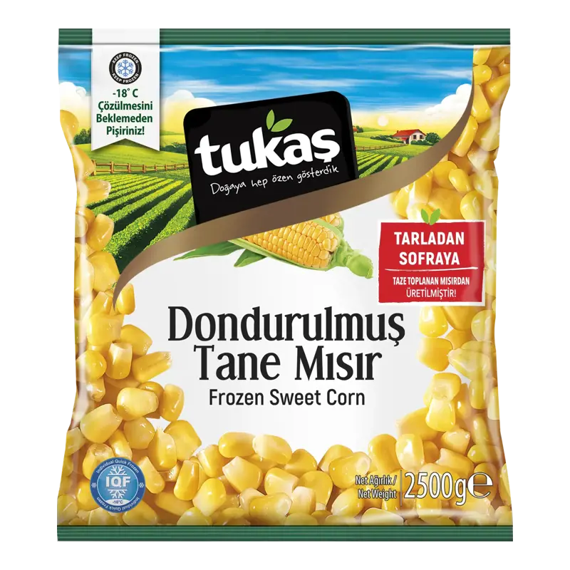 DONDURULMUŞ TATLI TANE MISIR